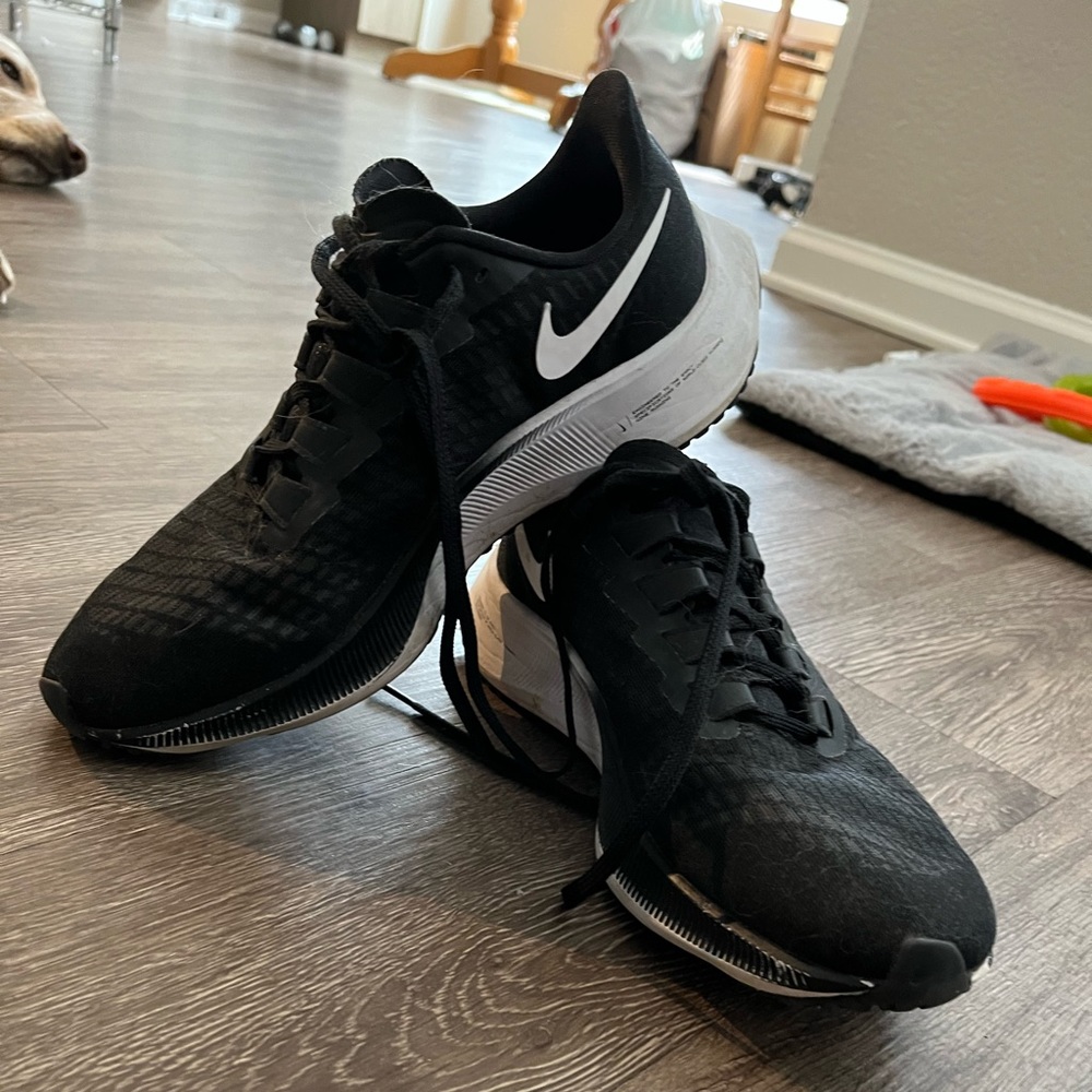 Nike Pegasus 37